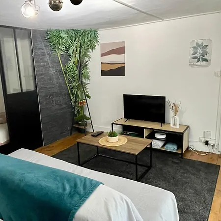 Apartment Le Cocon De La Bastille - Daloc *